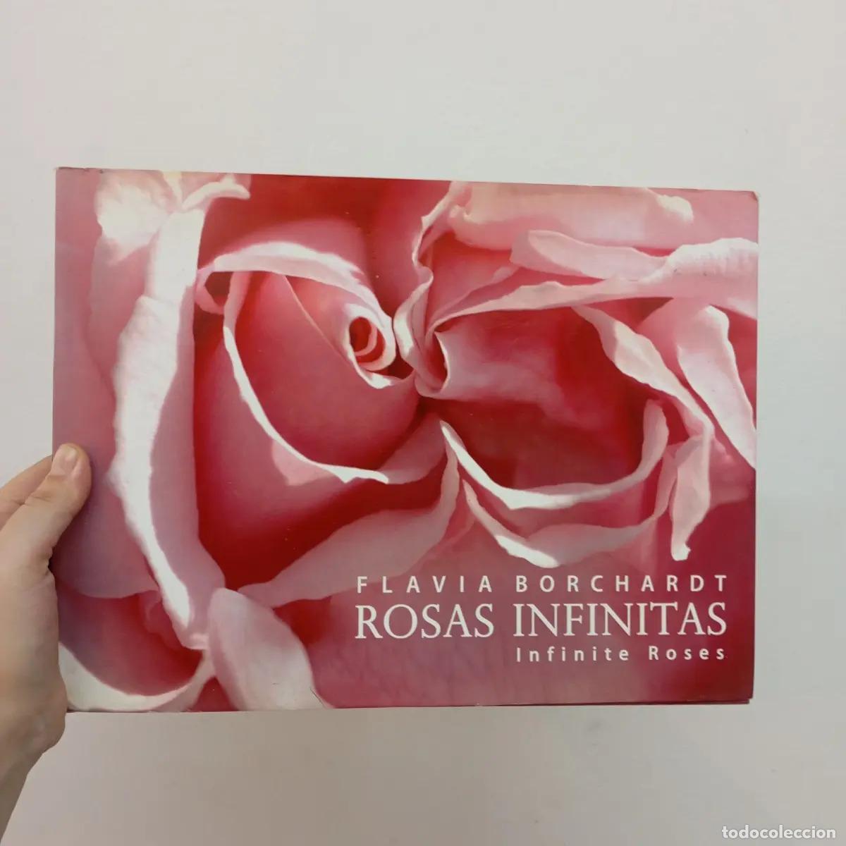 Libri di seconda mano: Rosas infinitas - Flavia Borchardt