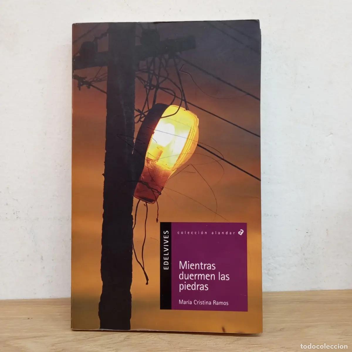B&uuml;cher: Mientras duermen las piedras - Mar&iacute;a Cristina Ramos