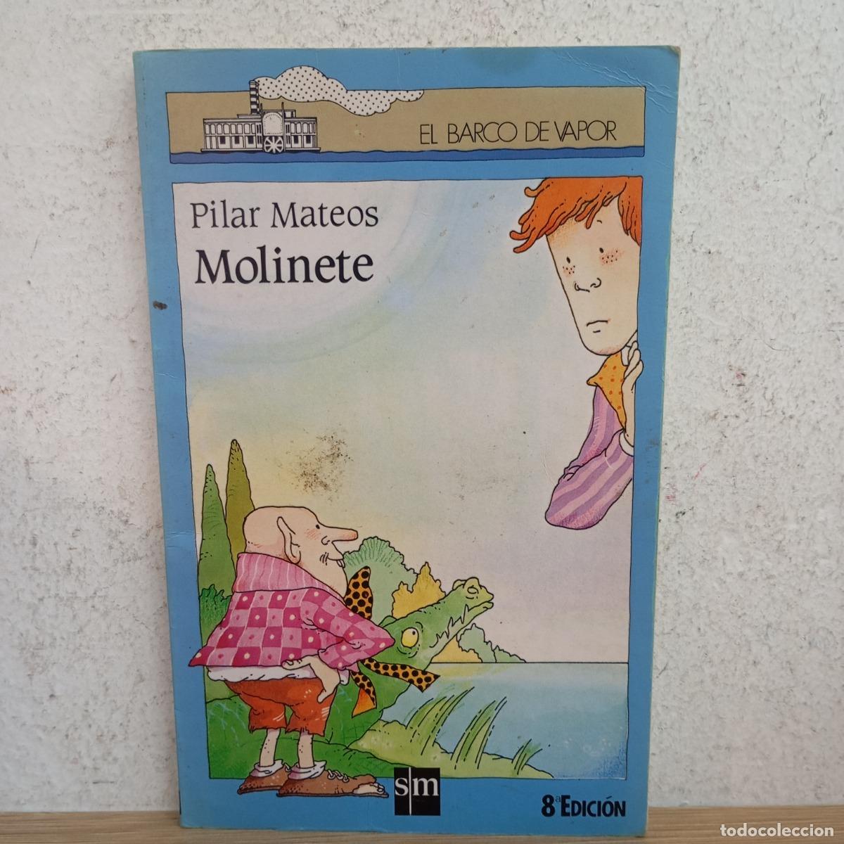 Libros: Molinete - Pilar Mateos - Foto 1