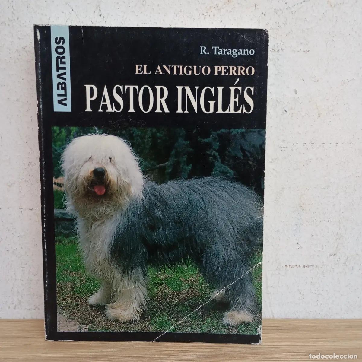 Libros: Pastor ingl&eacute;s - R. Taragano - Foto 1