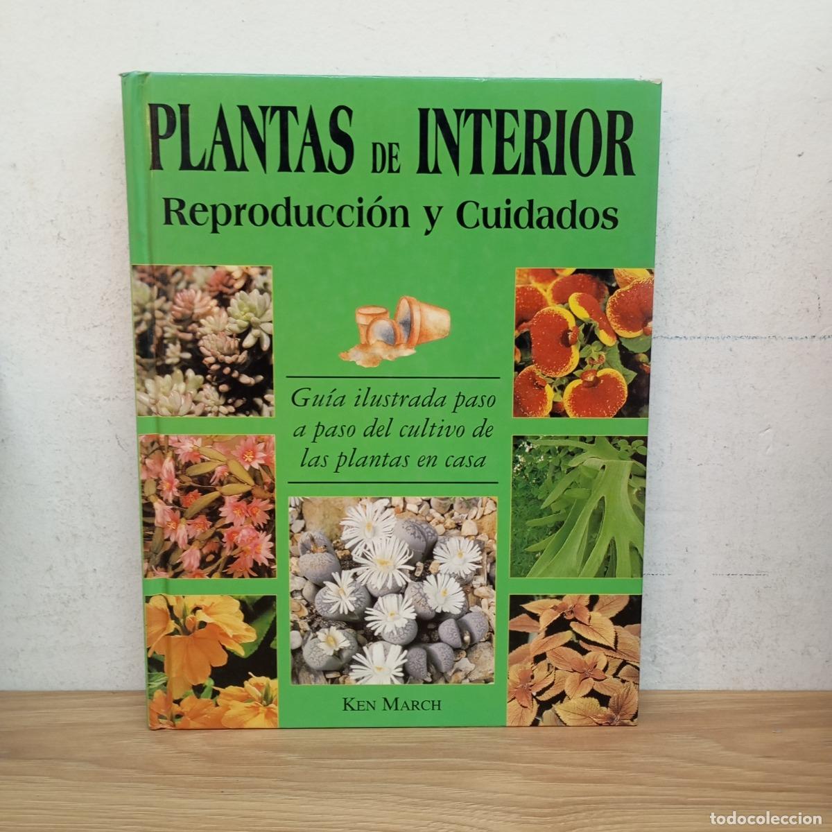 Libros: Plantas de interior - Ken March - Foto 1
