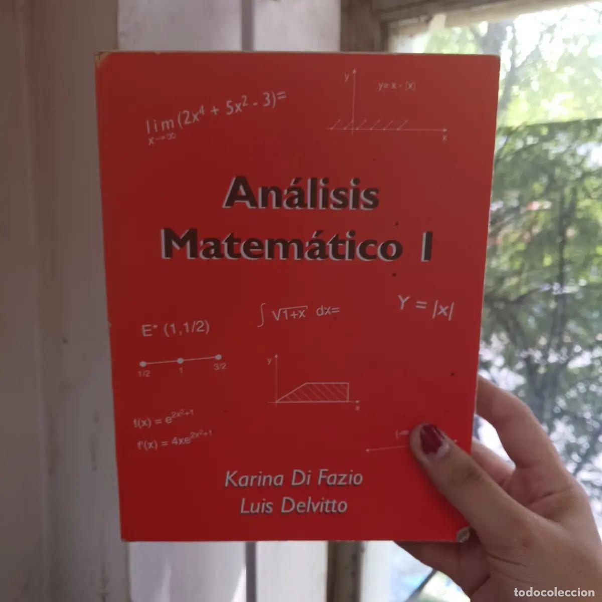 Libros: Analisis matematico 1 - Karina Di Fazio, Luis Delvitto