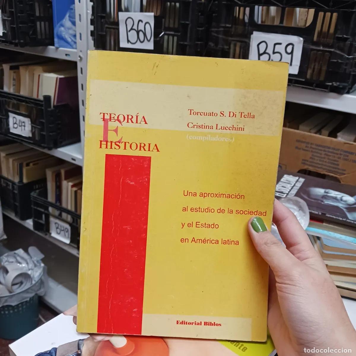 Libros: Teoria e historia - Di Tella, Lucchini - Foto 1