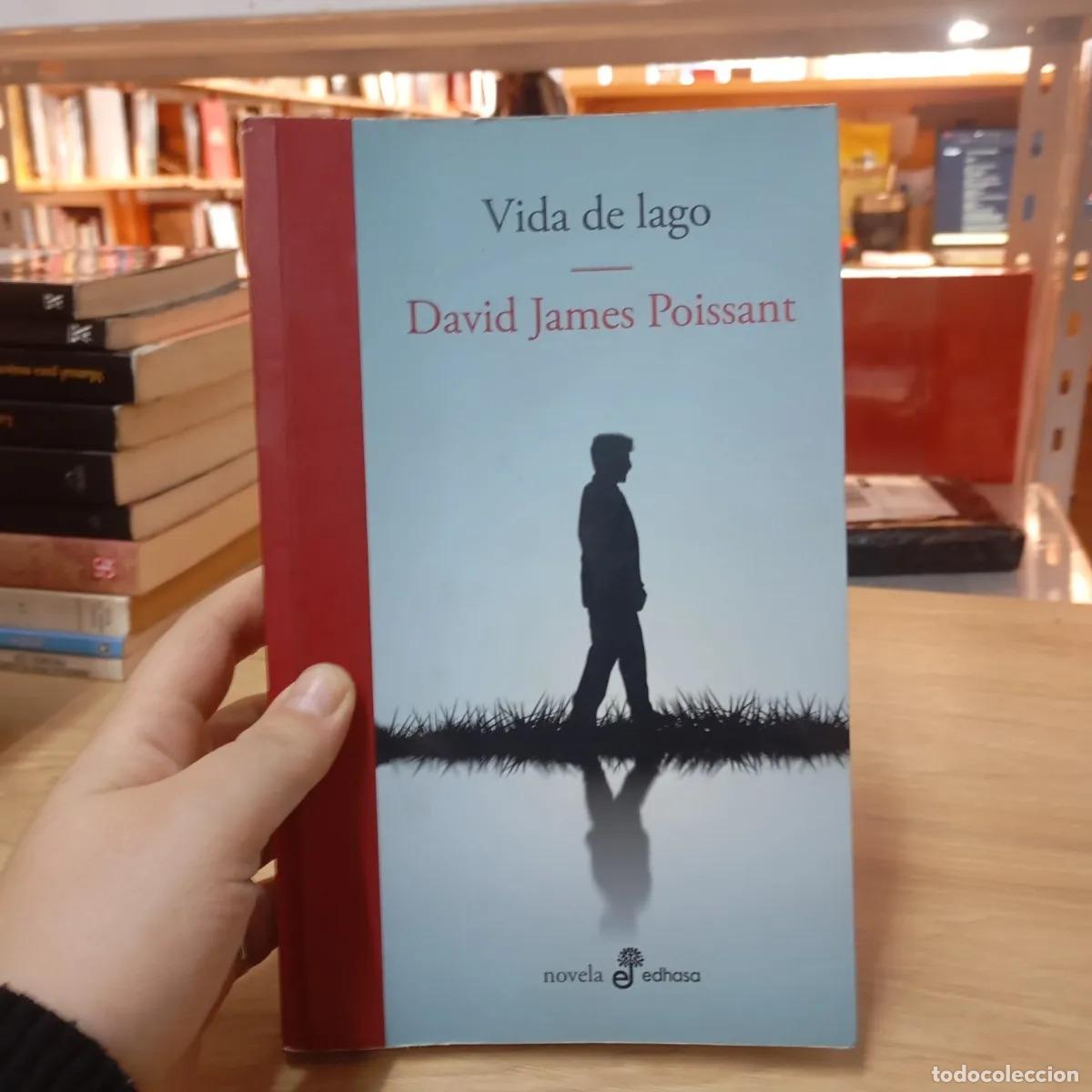 B&uuml;cher: Vida de lago - David James Poissant
