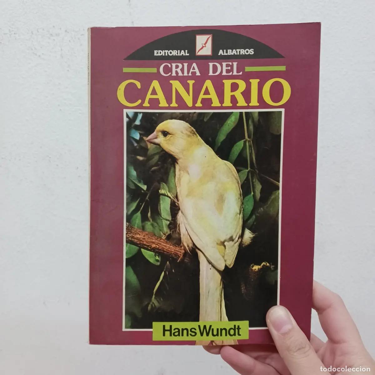 B&uuml;cher: Cr&iacute;a del canario (detalle) - Hans Wundt