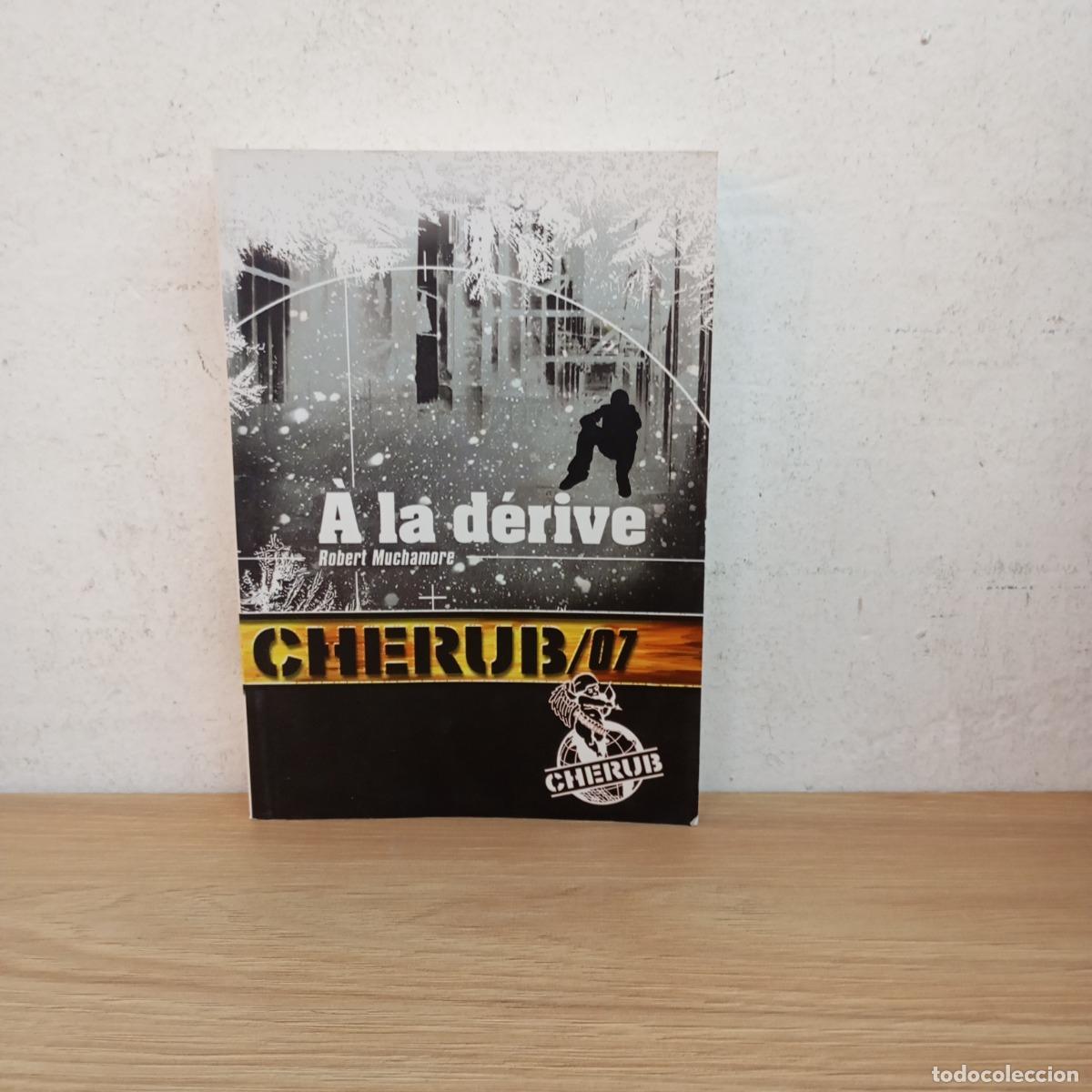 Libros: &Agrave; la d&eacute;rive - Robert Muchamore - Foto 1