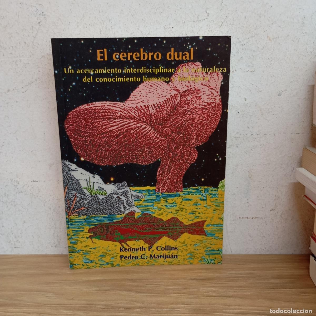 Libros: El cerebro dual - Collins, Mariju&aacute;n - Foto 1