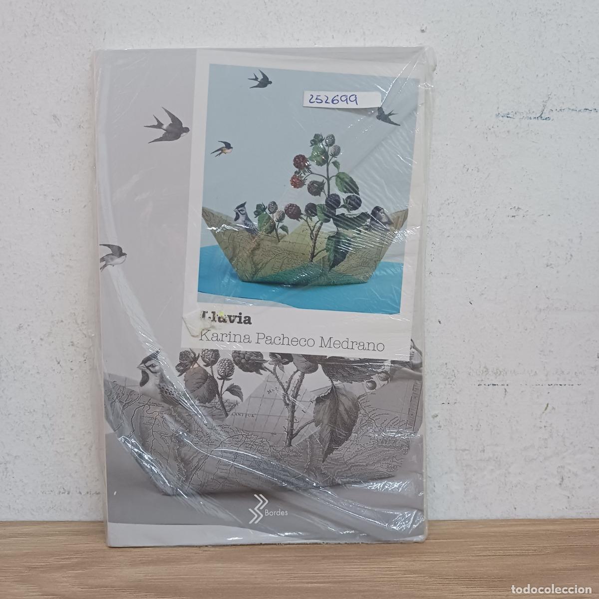 Libros: Lluvia - KArina Pacheco Medrano - Foto 1