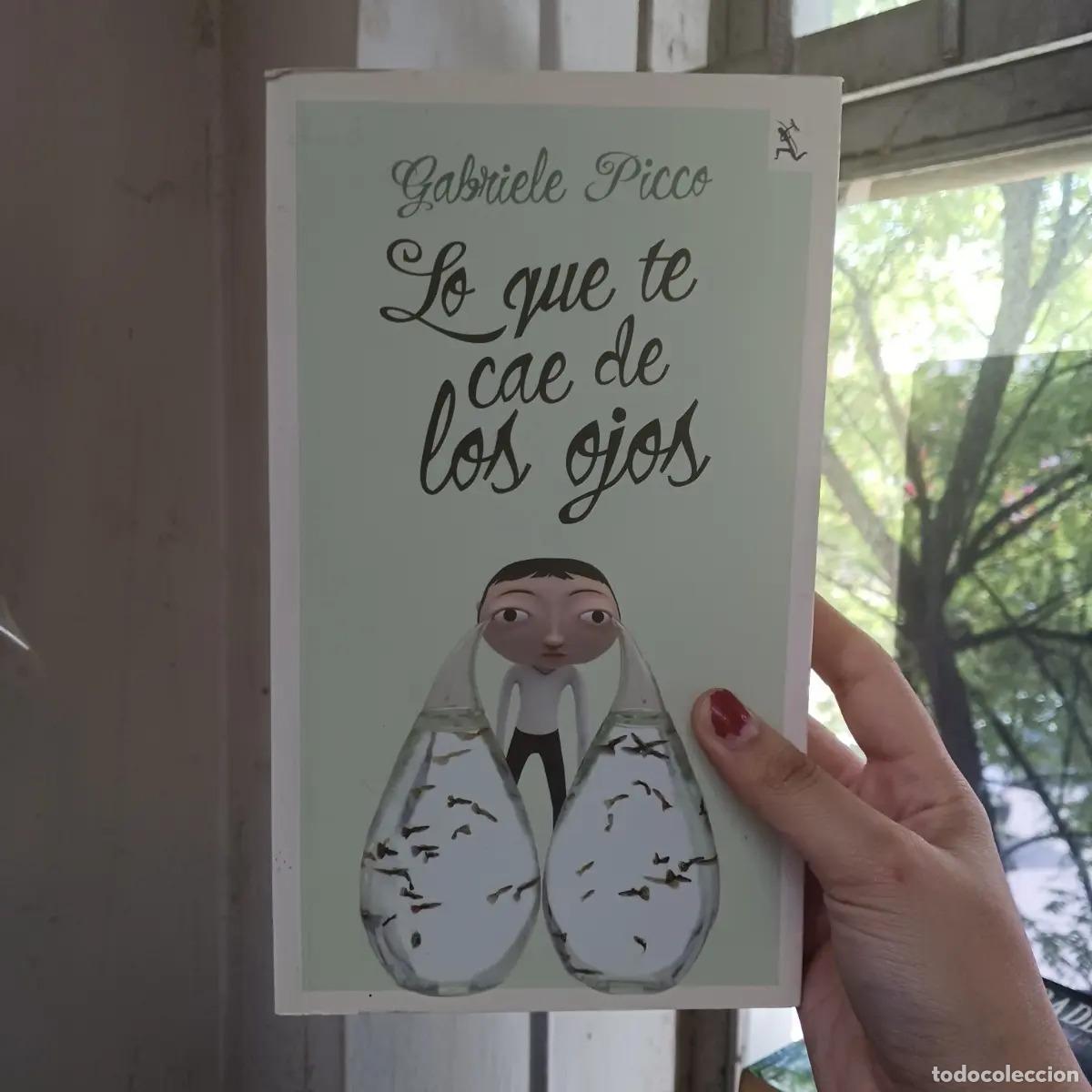 Libros: Lo que te cae de los ojos - Gabrielle Picco - Foto 1