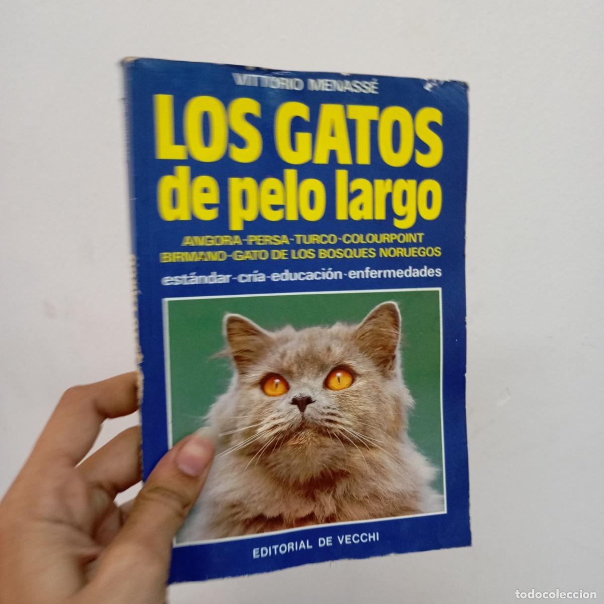 B&uuml;cher: Los gatos de pelo largo - Vittorio Menass&eacute;