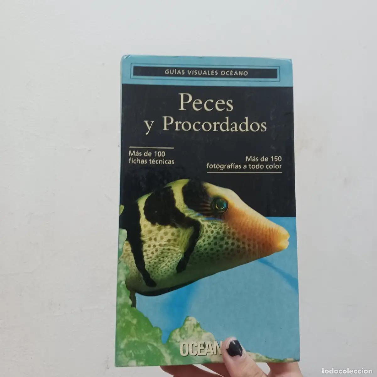 Libros: Peces y procordados - VVAA - Foto 1