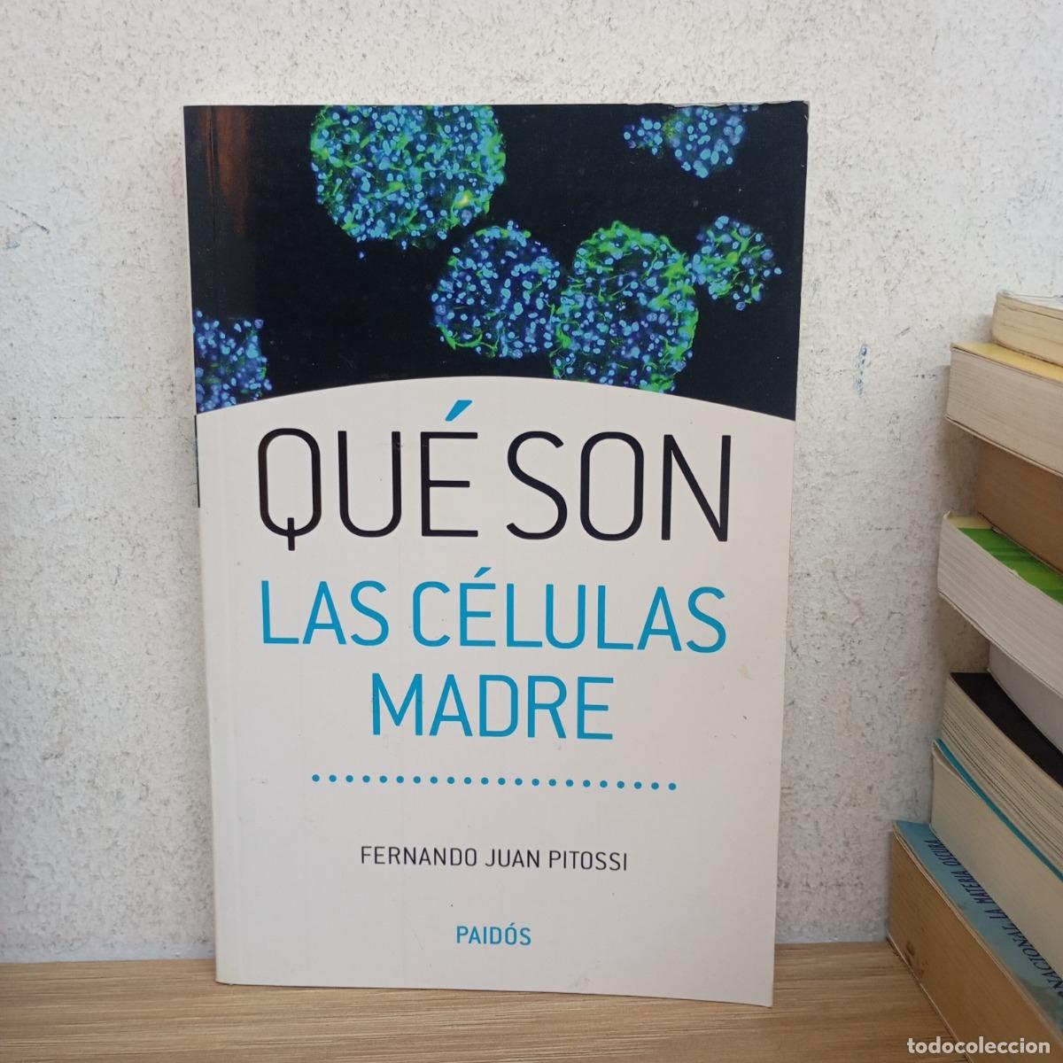Libros: Qu&eacute; son las c&eacute;lulas madre - Fernando Juan Pitossi - Foto 1