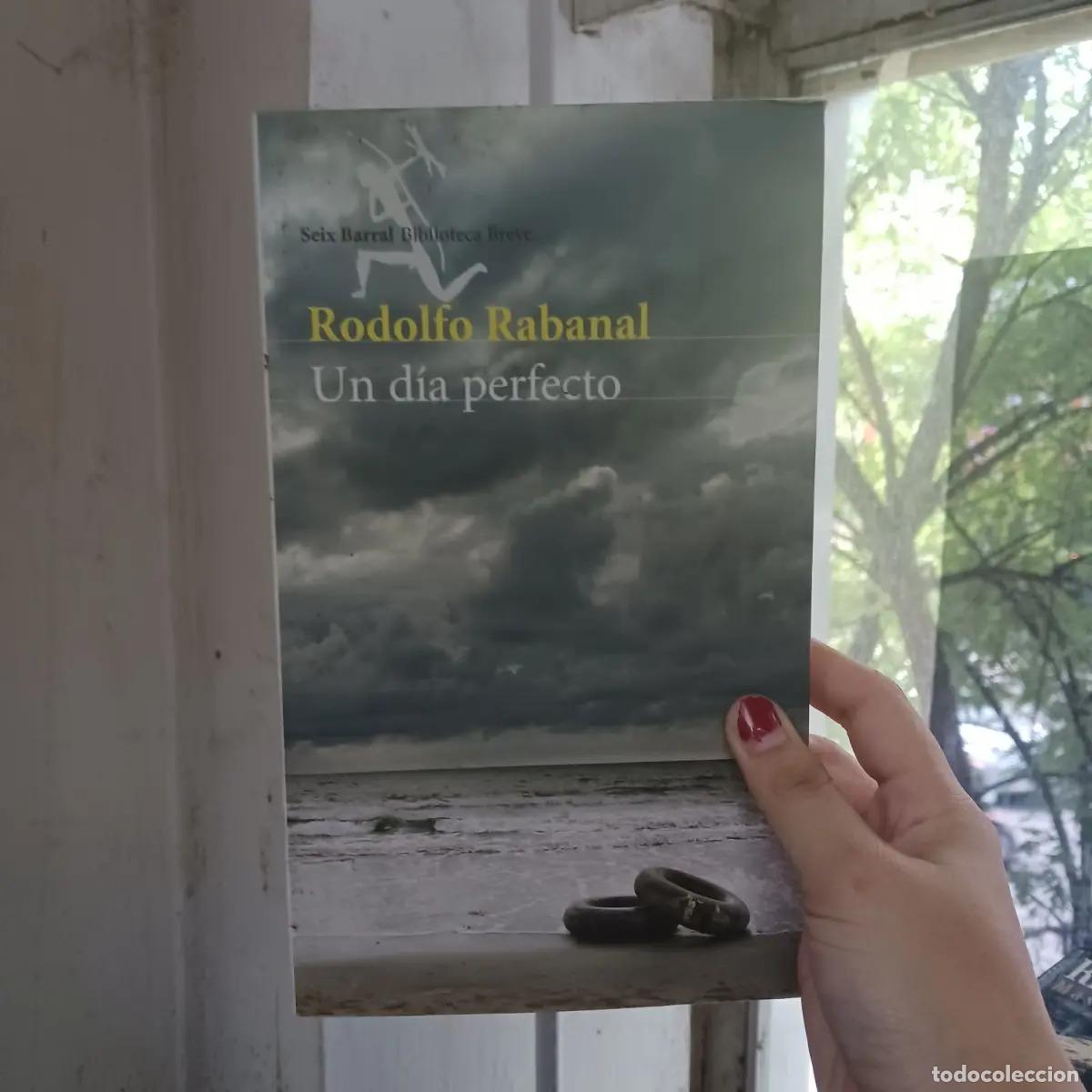 Libros: Un dia perfecto (det.) - Rodolfo Rabanal