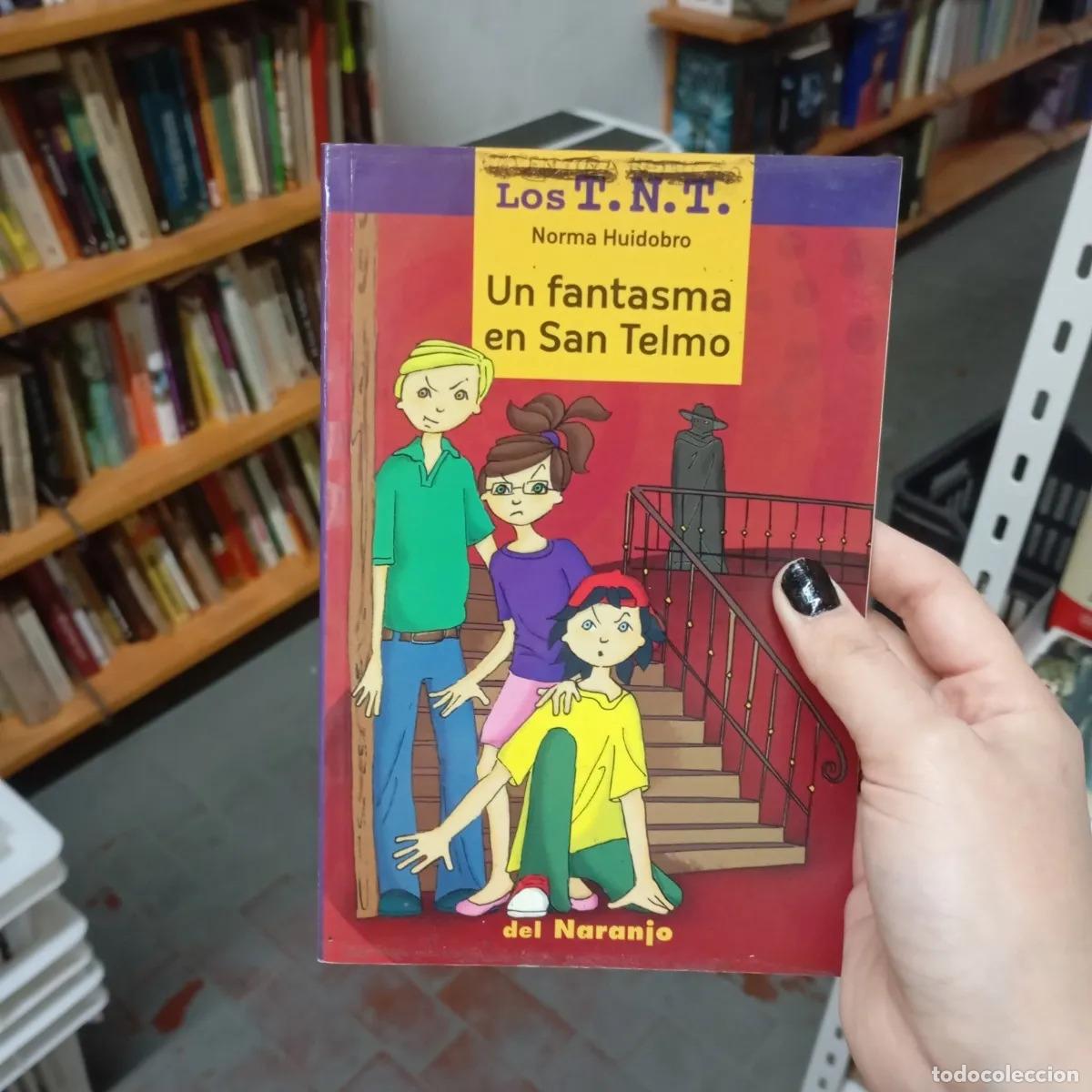 Libros: Un fantasma en San Telmo - Norma Huidobro