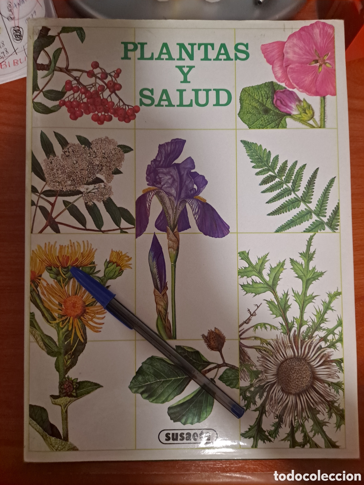 Libros: Libro &rdquo;Plantas y salud&rdquo;