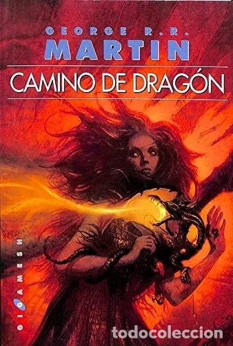 B&uuml;cher: Camino de drag&oacute;n- 9788496208155