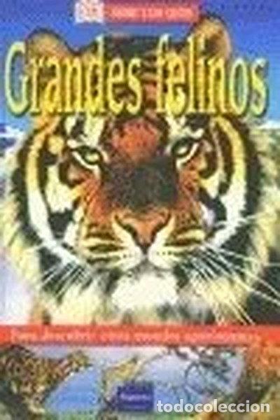 Libros: Abre los ojos: grandes felinos- 9788420536248