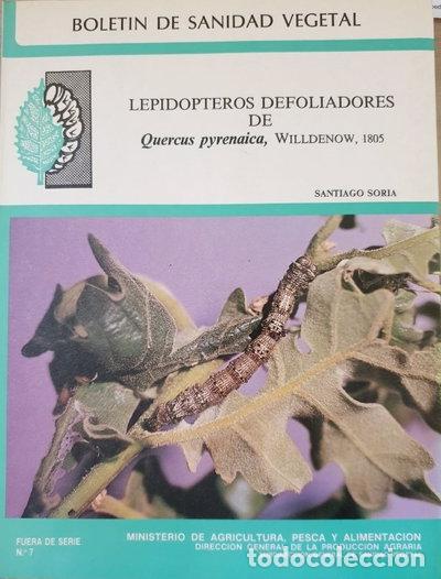 Libros: Lepid&oacute;pteros defoliadores de Quercus pyrenaica- 9788450566802