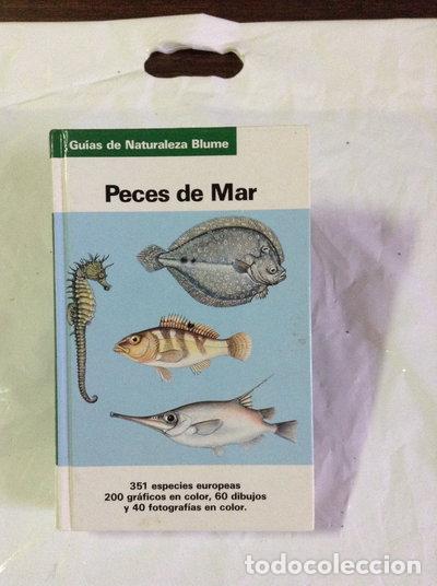 Libros: Peces de Mar- 9788487535031