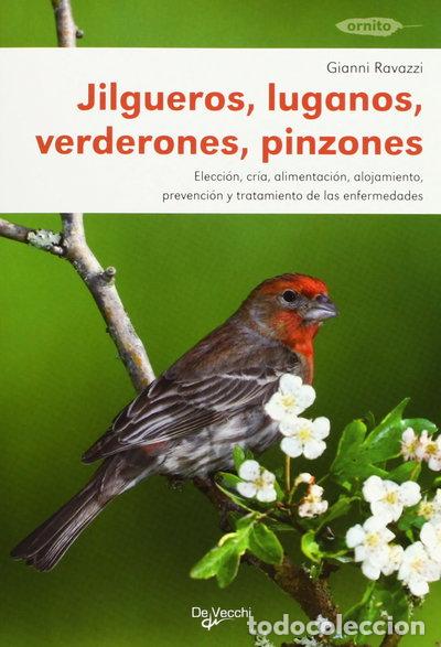 Libri di seconda mano: Jilgueros, luganos, verderones y pinzones- 9788431516062
