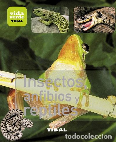 Libros: Insectos, anfibios y reptiles- 9788499281377