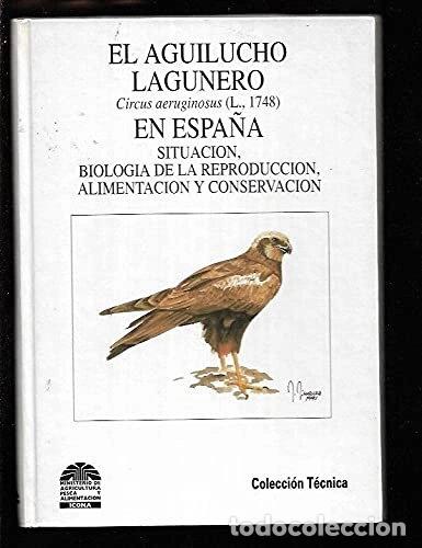 Libros: El aguilucho lagunero en Espa&ntilde;a- 9788480140065