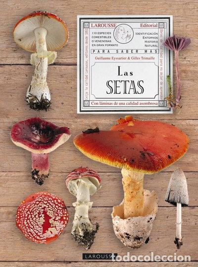 B&uuml;cher: El gran libro de las setas- 9788480169738