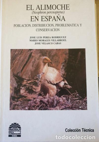 Libros: El Alimoche en Espa&ntilde;a- 9788485496556