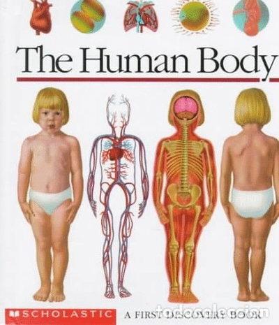 Libros: The Human Body- 9780590738767 - Foto 1