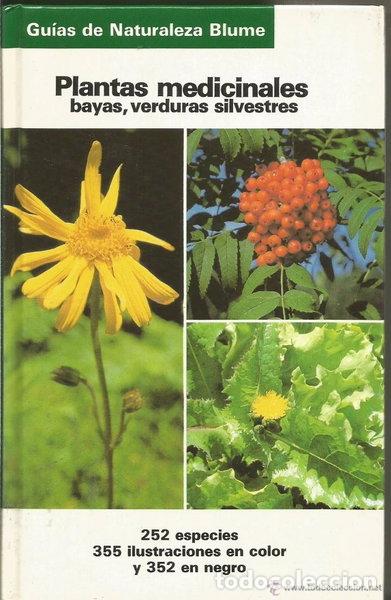 B&uuml;cher: Plantas medicinales, bayas, verduras silvestres- 9788487535086