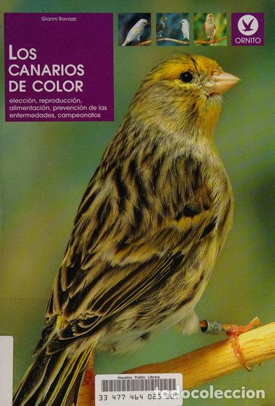 Libros: Los canarios de color- 9788431523343