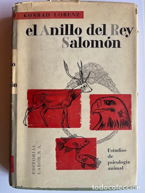 Libros: LORENZ, KONRAD - El anillo del Rey Salom&oacute;n - Foto 1