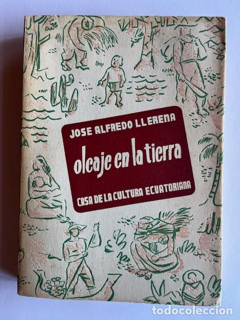 books: LLERENA, JOS&Eacute; ALFREDO - Oleaje en la tierra