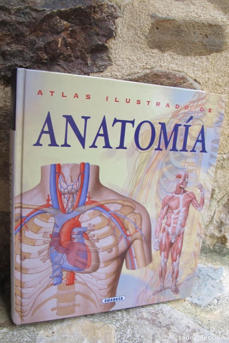 Libros: ATLAS ILUSTRADO DE ANATOMIA. SUSAETA