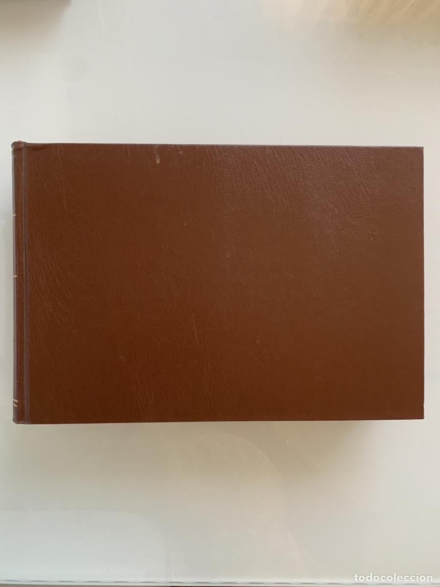 Libros: ROMEO BROWN: LA MALEDIZIONE DELLA ZINGARA (tomo III) - Jim Holdaway