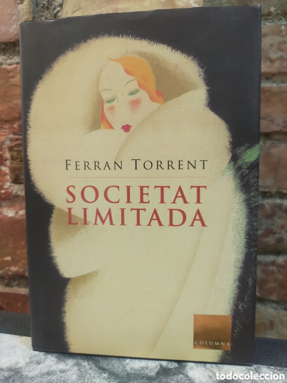 Libros: Libro societal limitada