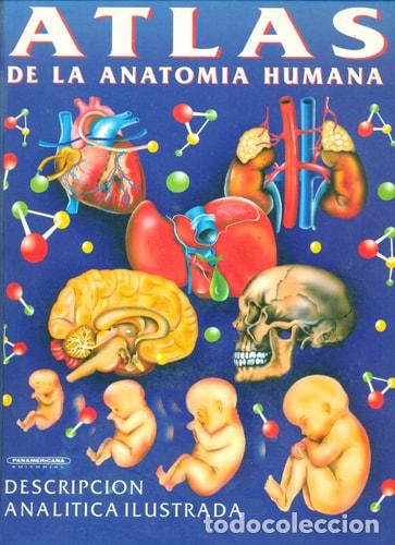 Libros: Atlas de la anatom&iacute;a humana - Alejandro Lano&euml;l - Alejandro Lano&euml;l