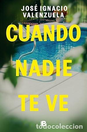 Libros: Cuando nadie te ve - Valenzuela, Jose Ignacio