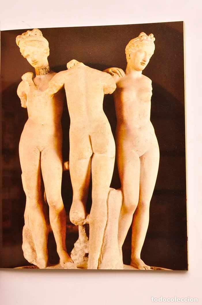 Libros: Siena. Su arte su palio - CHIERICHETTI, Sandro - Foto 5