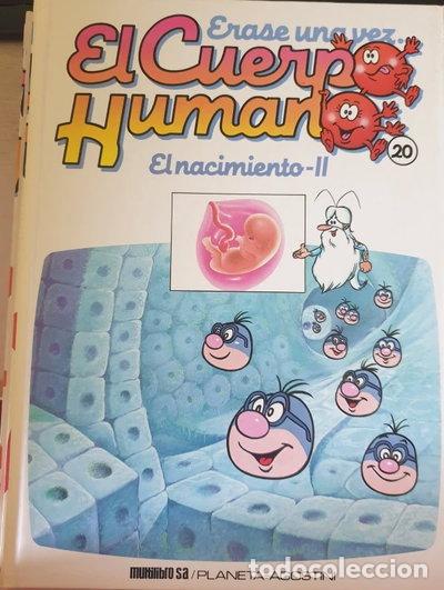 Libros: &Eacute;rase una vez el cuerpo humano, 20. El nacimiento II- 9788477121299
