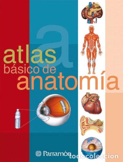 Libros: Atlas b&aacute;sico de anatom&iacute;a- 9788434223141