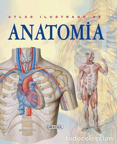Livres: Atlas ilustrado de anatomia- 9788574886367