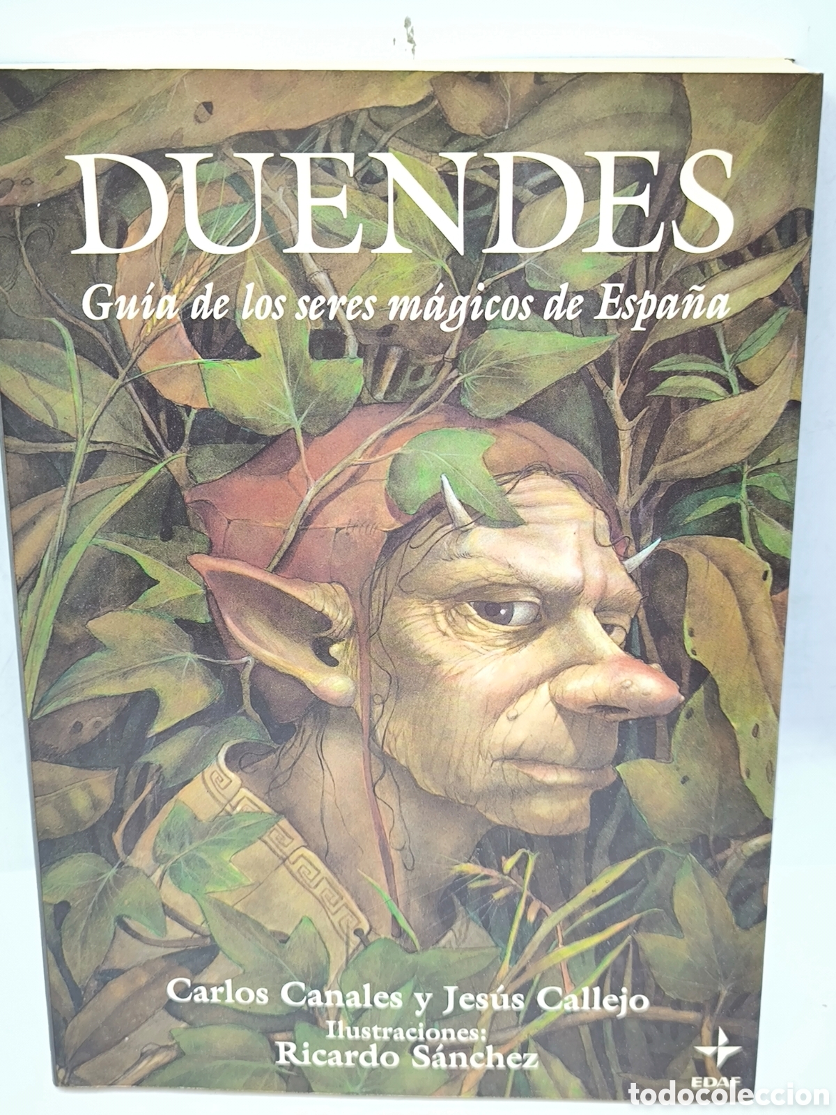 Libri di seconda mano: Duendes. Gu&iacute;a de los seres m&aacute;gicos de Espa&ntilde;a. C. Canales y J.Callejo