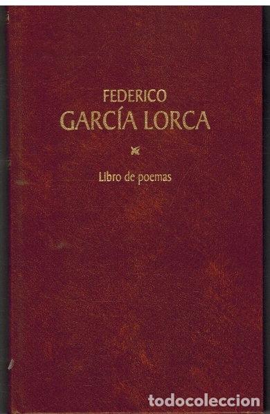 Libros: Libro de poemas- 9788447313068