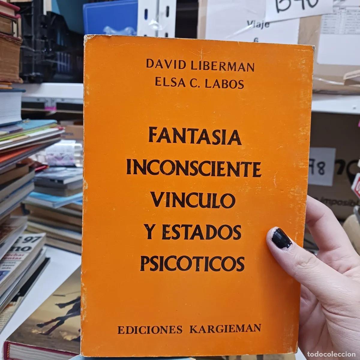 Libri di seconda mano: Fantasia inconsciente vinculo y estados psicoticos (det.) - Liberman, Labos