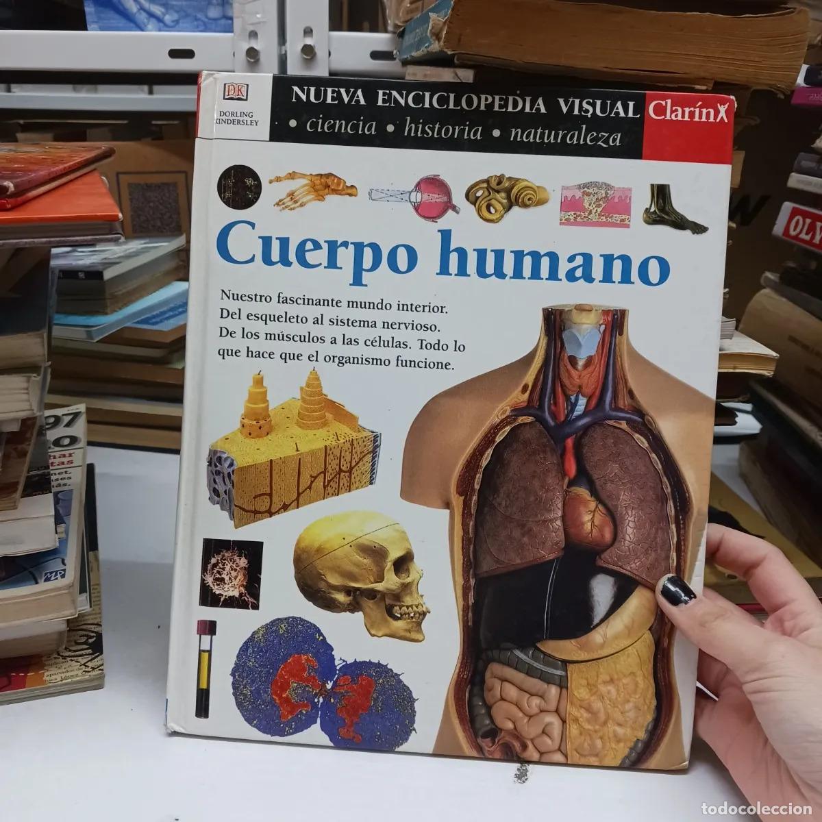 Libros: Cuerpo humano - VVAA - Foto 1