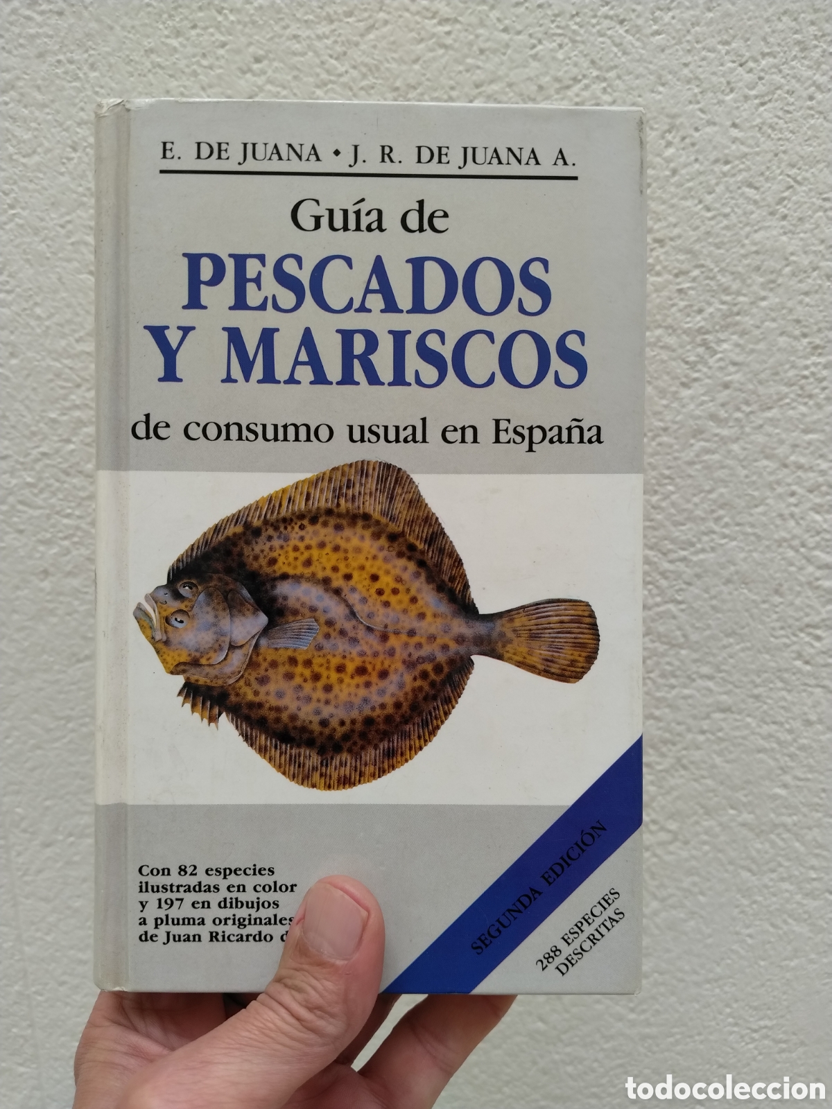 Libros: GU&Iacute;A DE PESCADOS Y MARISCOS DE CONSUMO USUAL EN ESPA&Ntilde;A - E. DE JUANA, J.R. DE JUANA -