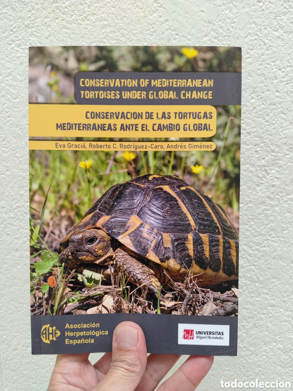 Libros: Conservaci&oacute;n de las Tortugas Mediterr&aacute;neas ante el Cambio Global Graci&aacute;, E Rodr&iacute;guez-Caro, R.C. Gim&eacute;