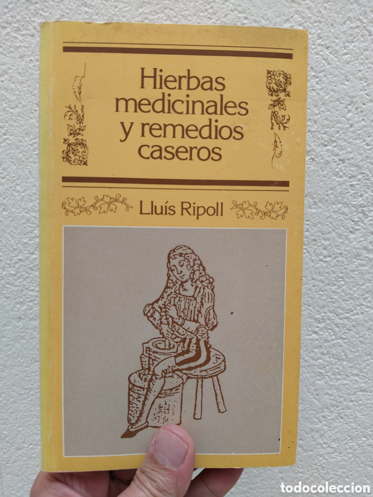 Livros em segunda m&atilde;o: HIERBAS MEDICINALES Y REMEDIOS CASEROS LLUIS RIPOLL - SIN LEER