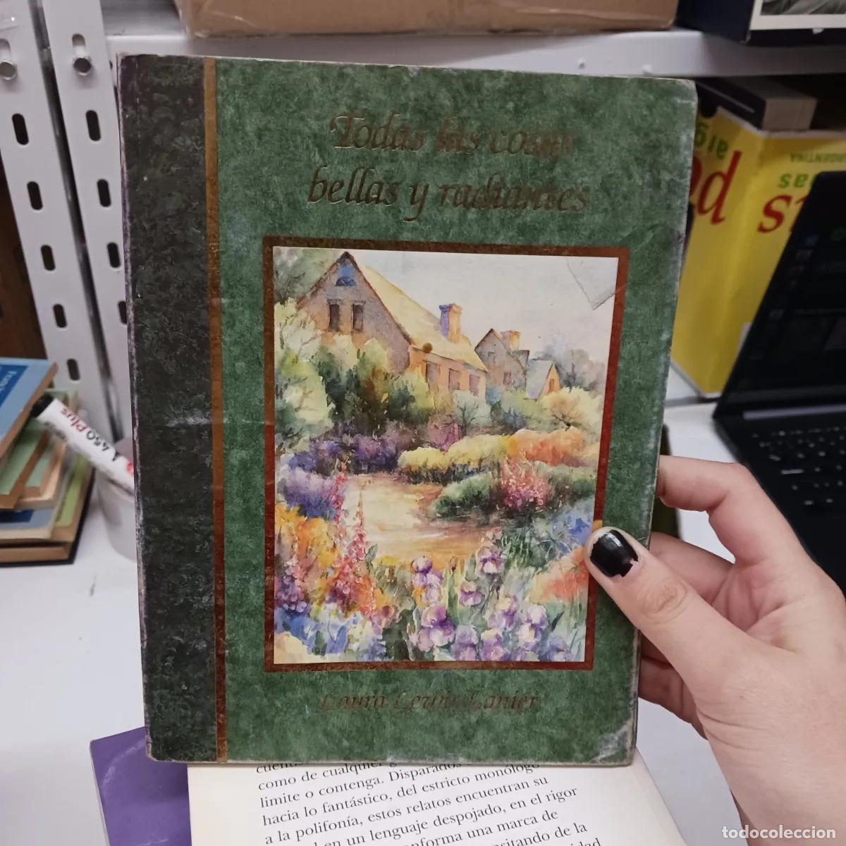 Livres: Todas las cosas bellas y radiantes - Laura Lewis Lanier